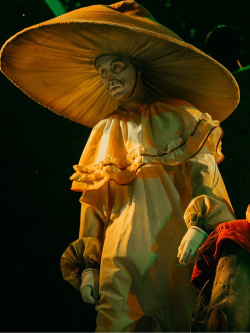 alisa_v_strane_chudes_3