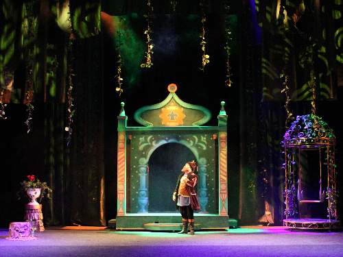 Новогодняя кампания и премьера сказки «Аленький цветочек»